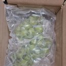 김천시포도수출유통영농조합법인 | 샤인머스켓 조은팜영농조합법인 김천 유명산지 고당도 샤인머스켓