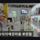 똥강아지 미용 | {부천, 강아지, 고양이, 애견미용, 추천!) 똥강아지애견미용 부천점 부천 강아지 애견미용 추천