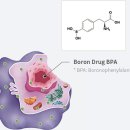 다원약국 이미지