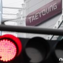 태영관광 이미지