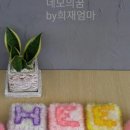 네모의꿈