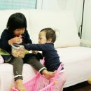 뽕이랑 귀농이랑 이미지