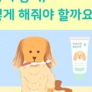 호계동물병원 이미지