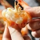 영어조합법인 바다의 아침 이미지