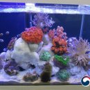 해물박사 이미지