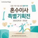 숨스토어 이미지