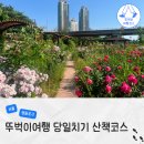 한창화학(주) | 서울 뚜벅이 여행 코스 안양천 장미 개화 위치 생태초화원