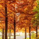 점성공원 이미지