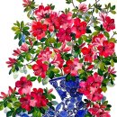 (유)누리여행 이미지