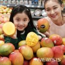 애플망고 이미지