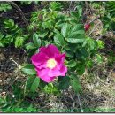 구지중학교 이미지