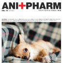 애니팜약국 이미지