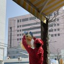사마루오리탕집 | 광주 현지인 추천맛집 <영미오리탕> 본점 주말 오픈런 웨이팅 포장 주차 후기