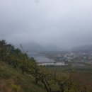 금일농장 이미지