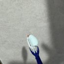 글로벌덴탈 | 암웨이 치약 글리스터 후기🦷✨ 가품주의 꼭 확인하세요!