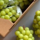 백화농장 이미지