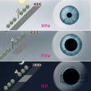 고대안경 이미지