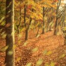 북한강강변길 이미지