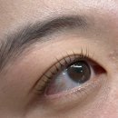 상록메디칼약국 | [안산/한대앞역] 벨라쥬 안산 상록수속눈썹펌 듀얼펌 언더펌 후기