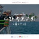 행복 DREAM 매직쇼 | 📢 속초문화재단에서 전하는 ❝주간 속초문화(7월 1주 차)❞