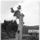 부계중학교 이미지