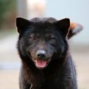 태산농장2 이미지