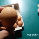 김철호 농장 이미지