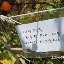 보천건강원