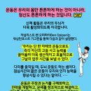 멘토 태권도장 이미지