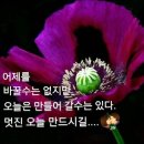 오늘..영화방 나들이~호텔 아르테미스..에 삽입된 ost 이미지