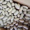 골든에그 이미지