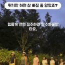 요즘 유행하는 슬로우 러닝크루 + 이주은 치어리다 이미지