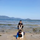 남해 월포펜션 | 남해펜션 후기 월포해수욕장 마당으로 쓸 수 있어요.