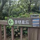 달맞이언니 이미지