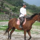 창연농장 이미지