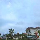 동화 속 바다여행 | [태안]여행 태안 빵집,카페 몽산포제빵소 방문후기( 동화속 숲속느낌🍀🌱🍃)