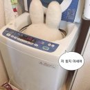 걸작떡볶이제주 | YOZM [26년도 5월 호]