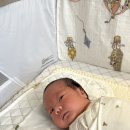 이현태지 이미지