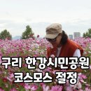 한강시민공원(한강둔치꽃단지) 이미지