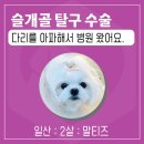 삼송사랑 동물의료센터 이미지