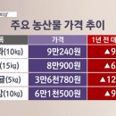 요즘과일 이미지