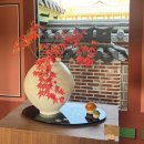 도모라멘 | ✿ 메이플 보더리스 전시회 경복궁 생물방 방문 후기 + 보더리스 단풍 사모 착샷