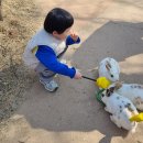 안성 서면농장 | 5살 아이와 함께한 안성팜랜드 주말 나들이 후기🌿🚜