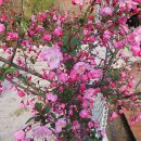 물빛펜션 이미지