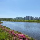 한들소머리국밥 이미지