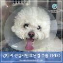 행신동물의료센터 이미지