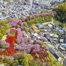 -전주 완산 칠봉꽃동산 이미지