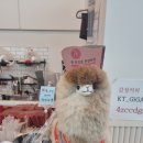 [화성/정남면] 감성커피 정남산업단지점!