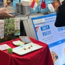올레치킨 | 서귀포 올레시장치킨 맛집 메밀꽃치킨 포장 후기
