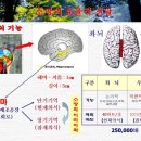 목현 이미지